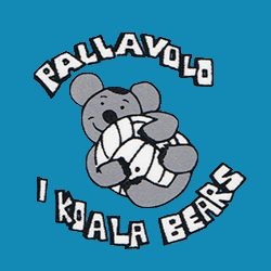 koala bears