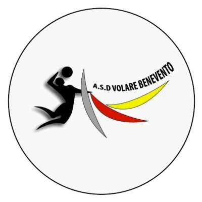 volare onlus logo