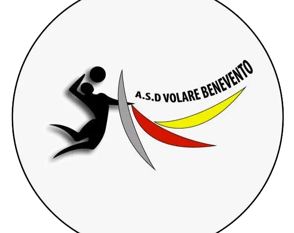 volare onlus logo