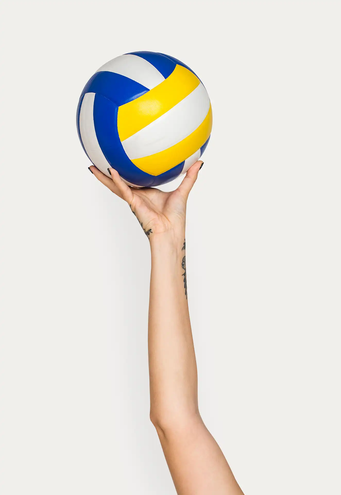 volley-news